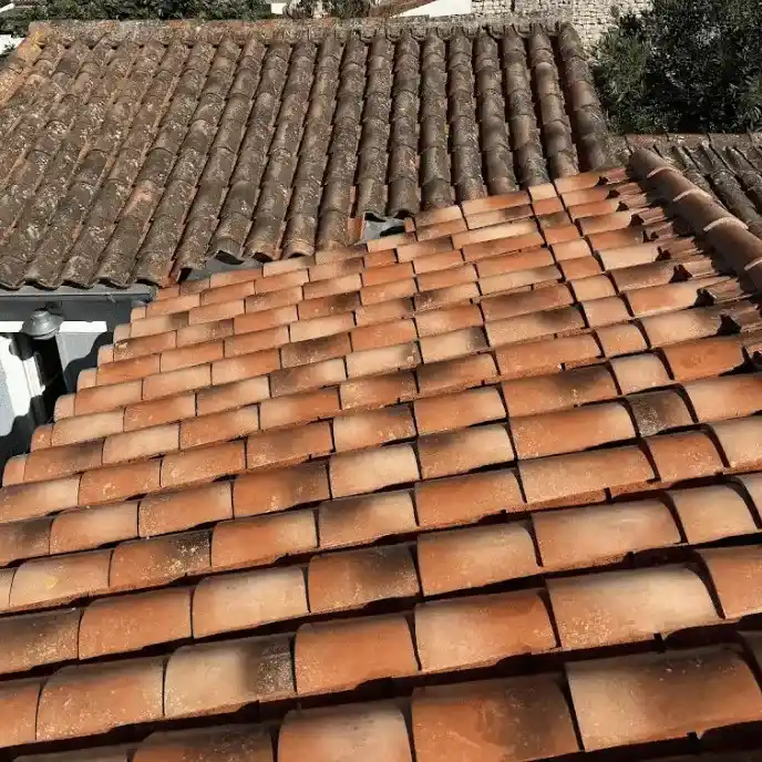 Nettoyage de toiture à Périgny